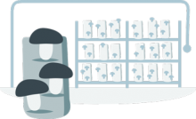 Growing of Nordic Mushrooms